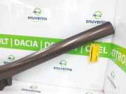 A Säule Verkleidung Links Renault Scénic III (JZ) Großraumlimousine 2.0 16V CVT (M4R-F711) 2010-07