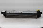 Ladeluftkühler 175125136310 BMW X1 (U11) SUV sDrive 18d 2.0 16V (A0001E1IsDrive 18d 2.0 16V) 2023-05