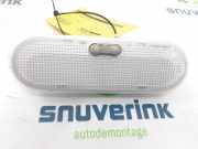 Innenbeleuchtung Vorne 8200074362 Renault Twingo II (CN) Schrägheck 1.2 16V (D4F-772) 2007-11