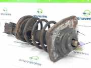 Federbein Links Vorne 1491968080 Peugeot Expert (222/224) Van 2.0 HDi 110 (DW10ATED(RHZ)) 2004-09