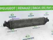 Ladeluftkühler 51783791 Fiat Doblo Cargo (263) Van 1.3 D Multijet (263.A.2000) 2012-03