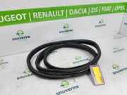 Türgummis Links Fiat Doblo Cargo (263) Van 1.3 D Multijet (263.A.2000) 2012-03