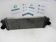 Ladeluftkühler 7700312903 Renault Trafic New (FL) Van 1.9 dCi 82 16V (F9Qt-762) 2005-05