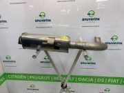 Auspuff Endtopf 201009667R Opel Movano Van 2.3 CDTi 16V FWD (M9T-716(M9T-F7)) 2022-06