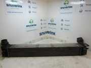 Ladeluftkühler 144960006R Renault Megane III Berline (BZ) Schrägheck 5-drs 1.4 16V TCe 130 (H4J-A700) 2011-01