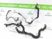 Schlauch 204769885R Renault Express Van 1.5 dCi 75 (K9K-872(K9K-U8)) 2021-12