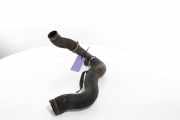 Intercooler Schlauch 1366817080 Fiat Ducato (250) Van 2.3 D 130 Multijet (F1AE3481D) 2014-07
