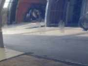 Tür Rechts Hinten 9008A5 Peugeot 206 (2A/C/H/J/S) Schrägheck 1.4 XR,XS,XT,Gentry (TU3JP(KFX)) 2003-01