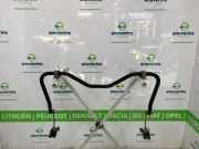 Stabilisatorstange Hinten 562301630R Renault Master III (EV/HV/UV/VA/VB/VD/VF/VG/VJ) Chassis-Cabine 2.3 dCi 145 16V FWD (M9T-H6) 2013-09