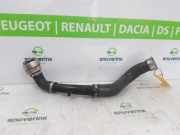 Intercooler Schlauch 144607842R Renault Captur II (RJB) SUV 1.3 Mild Hybrid 140, TCe 140 16V (H5H-490(H5H-E4)) 2021-10