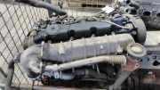 Motor 0135FE Peugeot 406 Break (8E/F) Kombi 2.0 HDi 90 (DW10TD(RHY)) 1999-06