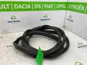 Türgummis Links 808328454R Opel Movano Van 2.3 CDTi 16V FWD (M9T-716(M9T-F7)) 2022-06