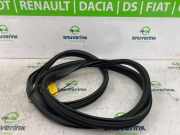 Türgummis Links 808321134R Renault Scénic IV (RFAJ) Großraumlimousine 1.2 TCE 130 16V (H5F-408(H5F-F4)) 2017-11