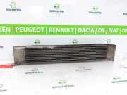 Ladeluftkühler 0384K1 Citroën Jumper (U9) Ch.Cab/Pick-up 2.2 HDi 150 Euro 5 (P22DTE(4HJ)) 2012-09