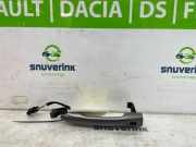 Handgriff 806B09141R Renault Scénic III (JZ) Großraumlimousine 1.2 16V TCe 115 Energy (H5F-400(H5F-A4)) 2013-03