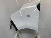 Kotflügel Links Vorne 631016242R Fiat Talento Van 2.0 EcoJet BiTurbo 145 (M9R-710(M9R-V7)) 2020-09