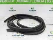 Heckklappe Gummi 8200678121 Renault Master III (FV) Van 2.3 Energy dCi 180 Twin Turbo 16V FWD (M9T-726(M9T-G7)) 2024-01