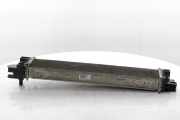 Radiator 144610871R Renault Trafic (1FL/2FL/3FL/4FL) Van 2.0 dCi 16V 120 (M9R-710(M9R-V7)) 2021-03