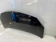 Motorhaube 7751477649 Renault Twingo II (CN) Schrägheck 3-drs 1.2 (D7F-800) 2008-12