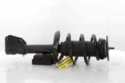 Federbein Links Vorne 543029774R Renault Master III (FV) Van 2.3 dCi 150 16V FWD (M9T-726(M9T-G7)) 2024-06