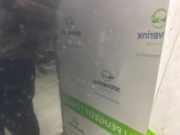 Motorhaube 7901K4 Citroën C3 Pluriel (HB) Cabrio 1.4 (TU3JP(KFV)) 2003-10