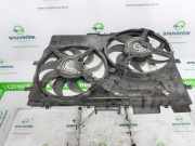 Kühlerventilatormotor 1250H9 Peugeot Boxer (U9) Van 2.2 HDi 100 Euro 4 (22DT(4HV)) 2007-03