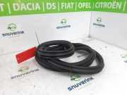 Türgummis Links Vorne 9811537480 DS DS 7 SUV 1.6 16V E-Tense 300 4x4 (EP6FADTXHPA(5GB)) 2023-09 EP6FADTXHPA(5GB)