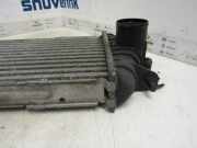 Ladeluftkühler 7700312903 Nissan Primastar Bus 1.9 dCi 100 (F9Q-760) 2003-10