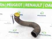 Intercooler Schlauch 1366816080 Fiat Ducato (250) Van 2.3 D 130 Multijet (F1AE3481D) 2013-11