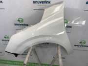 Kotflügel Links Vorne 9823208480 Peugeot 208 II (UB/UH/UP) Schrägheck 5-drs 1.2 Vti 12V PureTech 75 (EB2FAD(HMH)) 2020-11