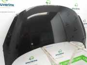 Motorhaube 7901N2 Peugeot 207 SW (WE/WU) Kombi 1.4 16V Vti (EP3C(8FP)) 2010-10