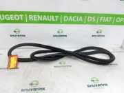 Türgummis Links Vorne YQ00029980 Citroën C3 Aircross I (2C/2R) SUV 1.2 PureTech 82 (EB2FA(HMR)) 2018-04