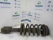 Federbein Links Vorne 5202J2 Fiat Ducato (230/231/232/234) Van 2.5 TDI Maxi (8140.47.3700) 1997-11