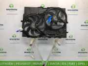 Kühlerventilatormotor 1250H4 Peugeot Boxer (U9) Van 2.2 HDi 100 Euro 4 (22DT(4HV)) 2008-05