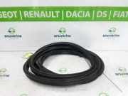 Heckklappe Gummi 8707H7 Opel Combo Cargo Van 1.5 CDTI 75 (D15DTL(DV5RE)) 2019-09