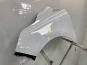 Kotflügel Links Vorne 631019140R Renault Kangoo Express (RF..) Van 1.5 Blue dCi 75 (K9K-876(K9K-U8)) 2023-04