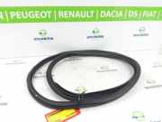 Türgummis Links Vorne 9813059580 Citroën C3 (SX/SW) Schrägheck 1.2 12V e-THP PureTech 110 (EB2ADT(HNP)) 2019-03