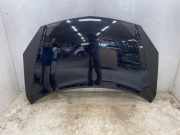 Motorhaube 651000024R Renault Koleos I SUV 2.5 16V (2TR-703) 2008-08