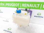 Ausgleichbehälter 1399839080 Fiat Ducato (250) Van 2.2 D 140 Multijet 3 (46349131) 2022-07