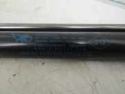 Gasdruckfedern Set Hinten 844300009R Renault Megane III Grandtour (KZ) Kombi 5-drs 1.4 16V TCe 130 (H4J-A700) 2010-01