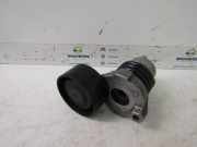 Spannrolle Multiriem 117506193R Renault Captur I (2R) SUV 0.9 Energy TCE 12V (H4B-A400) 2014-08