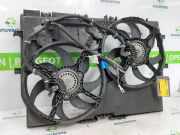 Kühlerventilatormotor 1250H4 Fiat Ducato (250) Van 2.3 D 120 Multijet (F1AGL4114) 2011-06