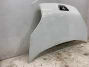 Motorhaube 7901Q0 Peugeot Bipper (AA) Van 1.3 HDI (F13DTE5(FHZ)) 2013-02