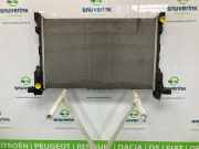 Radiator 214104966R Opel Vivaro Van 1.6 CDTi BiTurbo 125 (R9M-452(R9M-D4)) 2019-03