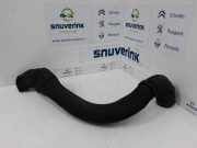 Luftansaugrohr 8200381079 Renault Clio III (BR/CR) Schrägheck 1.5 dCi FAP (K9K-770) 2011-07