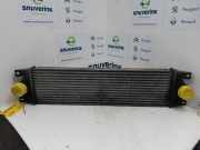 Ladeluftkühler 7701043695 Renault Master II (FD/HD) Van 2.5 dCi 16V (G9U-720) 2003-08