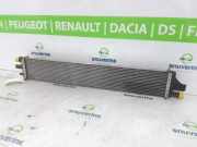 Radiator 214C10001R Opel Movano Van 2.3 CDTi 16V FWD (M9T-716(M9T-F7)) 2022-06