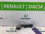 Motorhaubescharnier 1342115080 Fiat Ducato (250) Van 2.0 D 115 Multijet (250.A.2000(Euro 6)) 2013-05