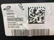 Türverkleidung Links 98082244ZM Peugeot Expert (V1/VA/VB/VE/VF/VT/VY) Van e-Expert (ZKX) 2020-10