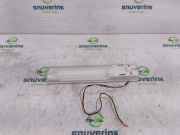 Innenbeleuchtung Hinten 020620 Renault Trafic New (FL) Van 2.0 dCi 16V 90 (M9R-780) 2009-10